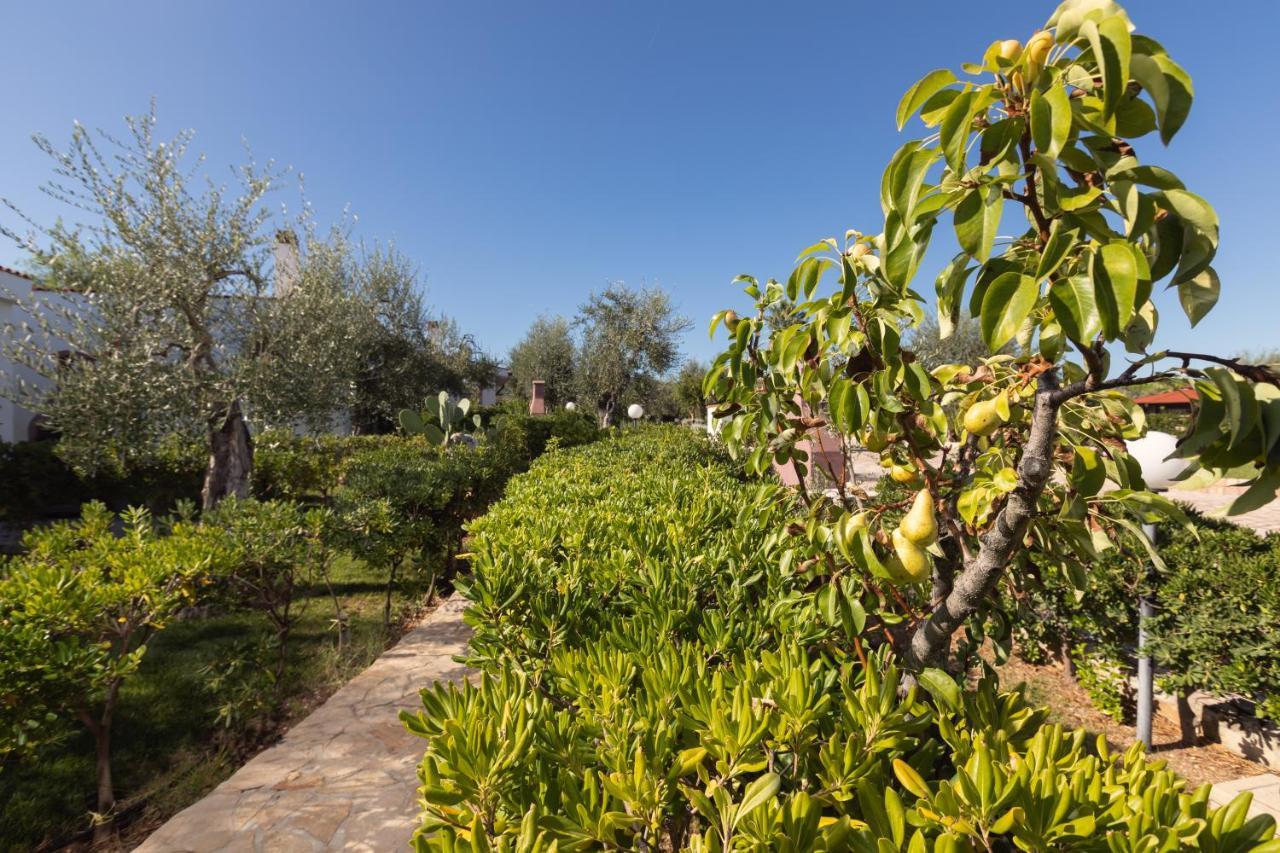 Residence Villantica Весте Екстериор снимка